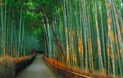 Kyoto