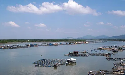 Làng bè Long Sơn