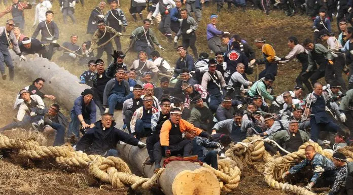 lễ hội kì quái 6