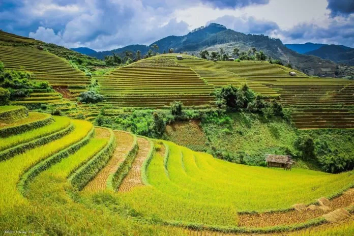 Du lịch Mù Cang Chải