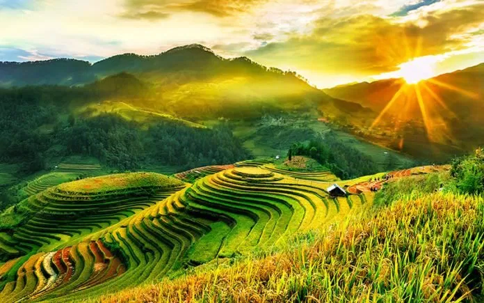 Du lịch Mù Cang Chải
