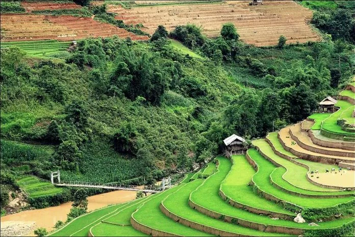 Cầu