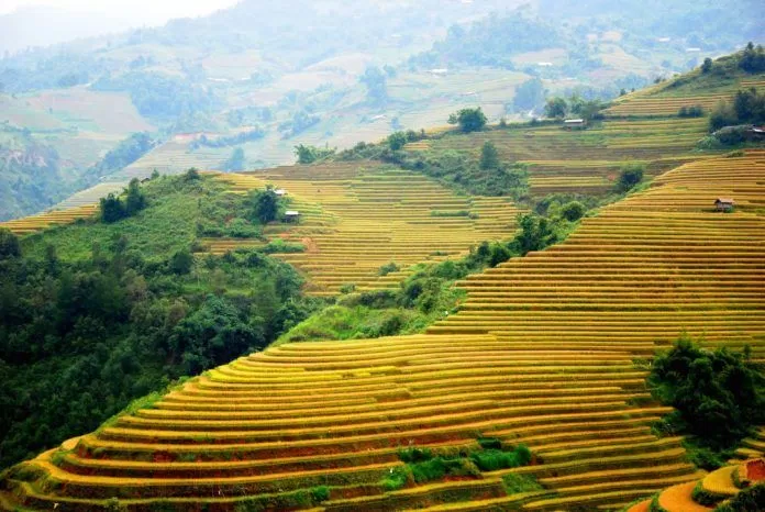 Chế Cu Nha