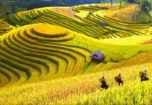 Mường Hoa