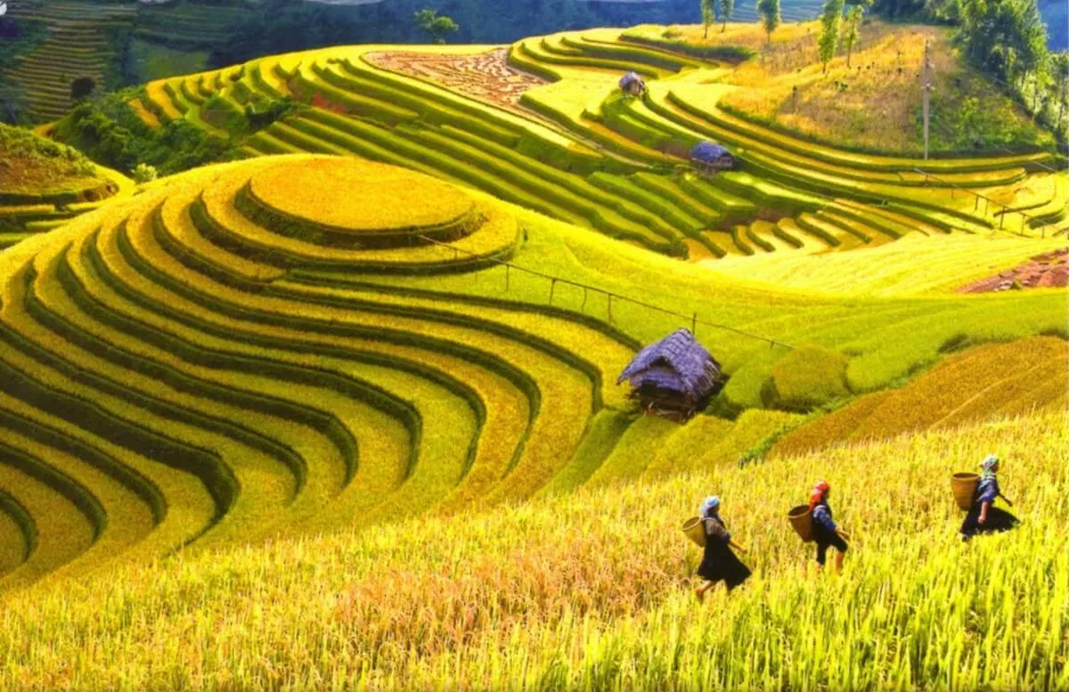 Mường Hoa