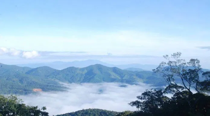 Nhìn trên cao