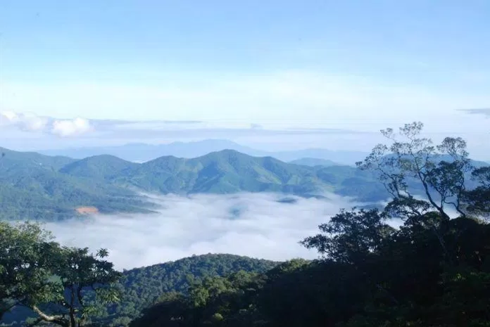 Nhìn trên cao