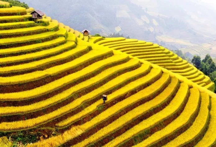 77 Tháng 8 đến Mường Hoa để bước trên “nấc thang thiên đường” mới nhất 14 Mường Hoa