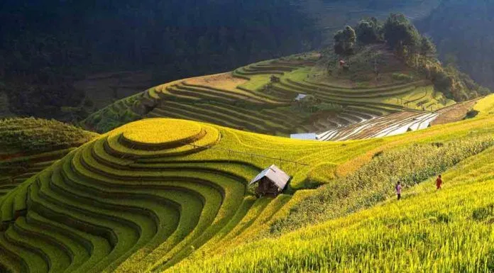 Mường Hoa