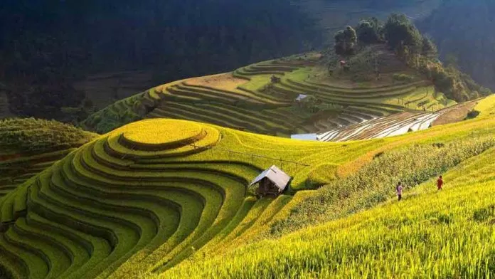 77 Tháng 8 đến Mường Hoa để bước trên “nấc thang thiên đường” mới nhất 8 Mường Hoa