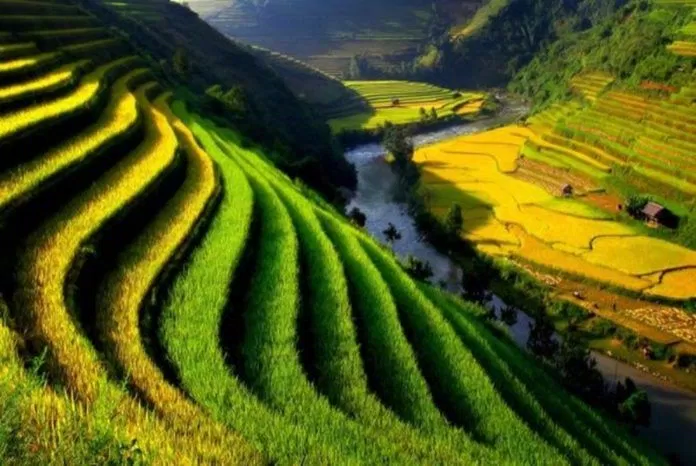77 Tháng 8 đến Mường Hoa để bước trên “nấc thang thiên đường” mới nhất 4 Mường Hoa