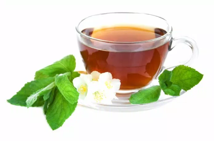 Trà bạc hà