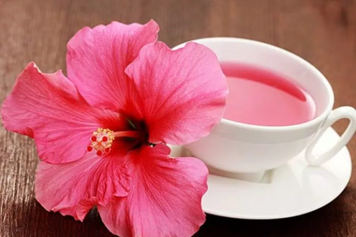 Trà hoa dâm bụt