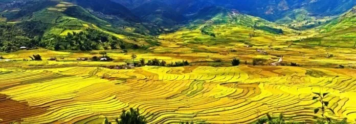 Du lịch Mù Cang Chải