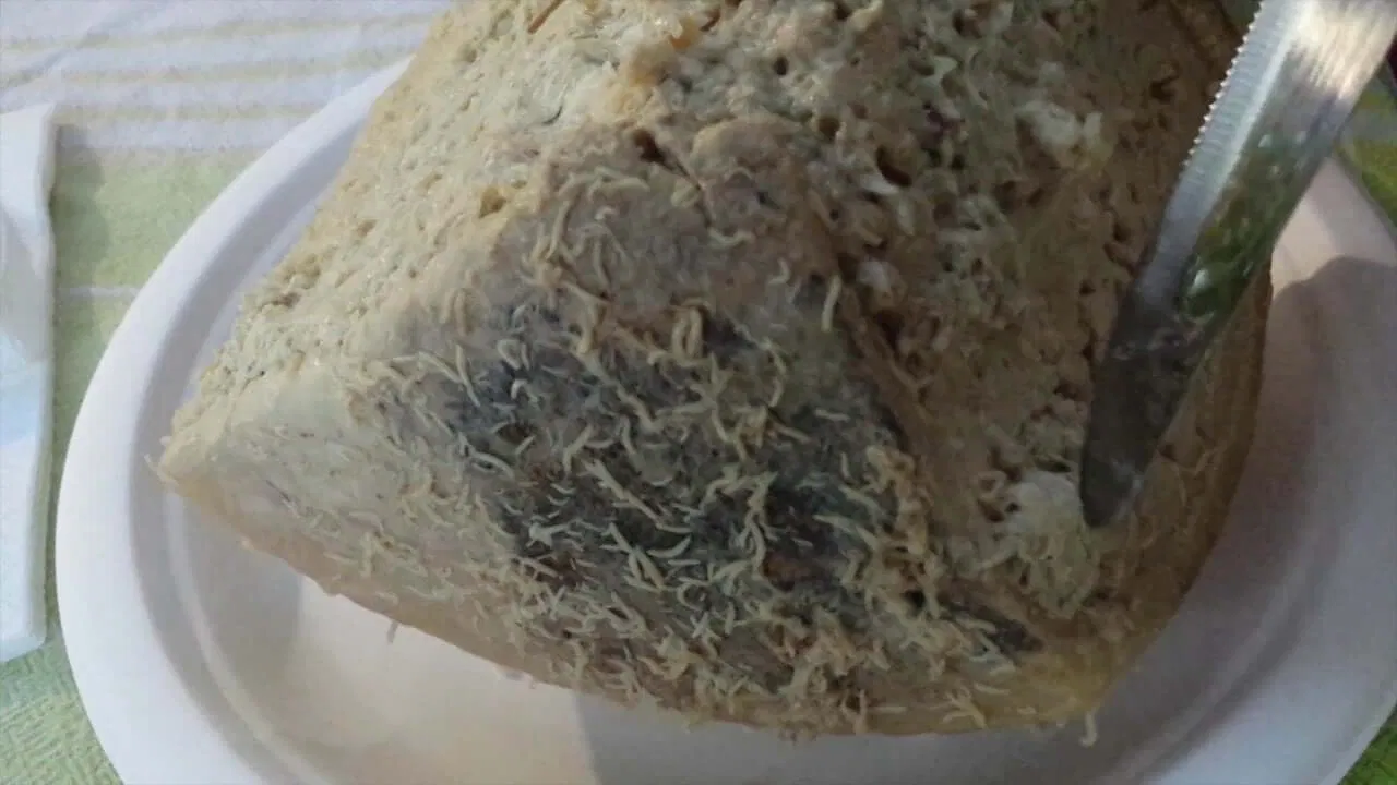 casu marzu