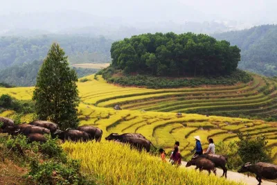 Bình Liêu