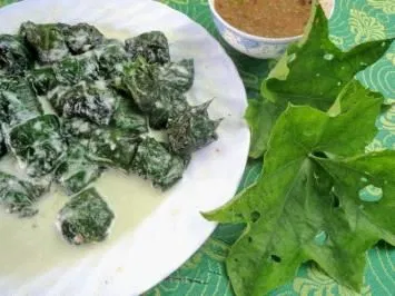 Cá thác lá um lá mướp (Nguồn Internet)