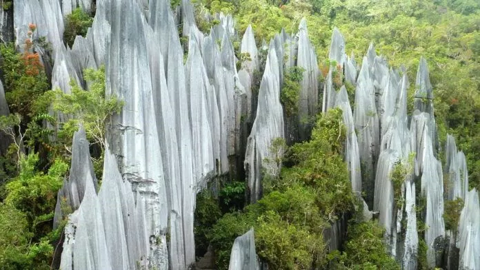 Gunung Mulu