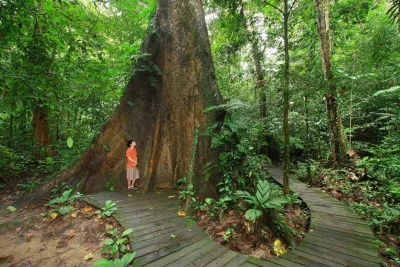 Gunung Mulu