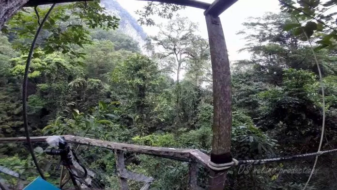 Gunung Mulu