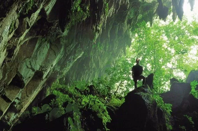 Gunung Mulu