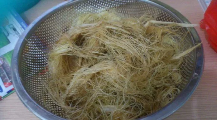Râu bắp