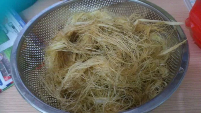 Râu bắp