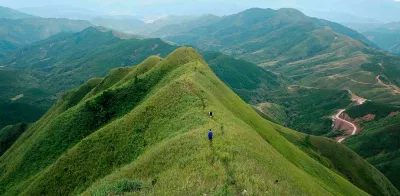 Sống lưng khủng long