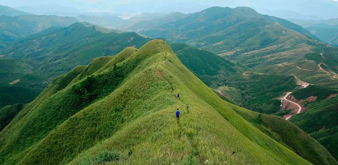 Sống lưng khủng long