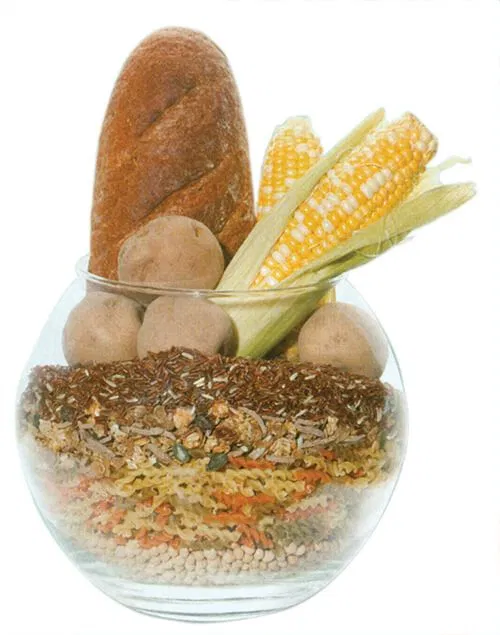 Tinh bột