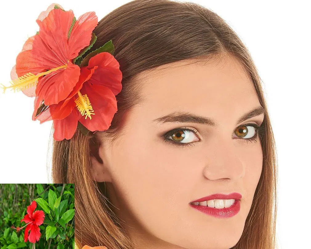 Tóc với hoa dâm bụt