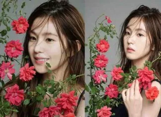 Bae Joo Hyeon - Red Velvet Irene Photos Image Picture- biotist.blogspot.com (1)