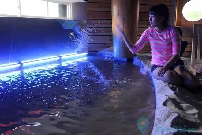 coffee rừng biển