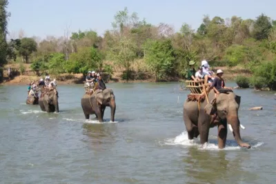 Cưỡi voi qua sông