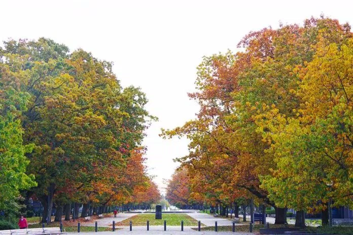 Thu trong sân trường Đại học UBC Vancouver