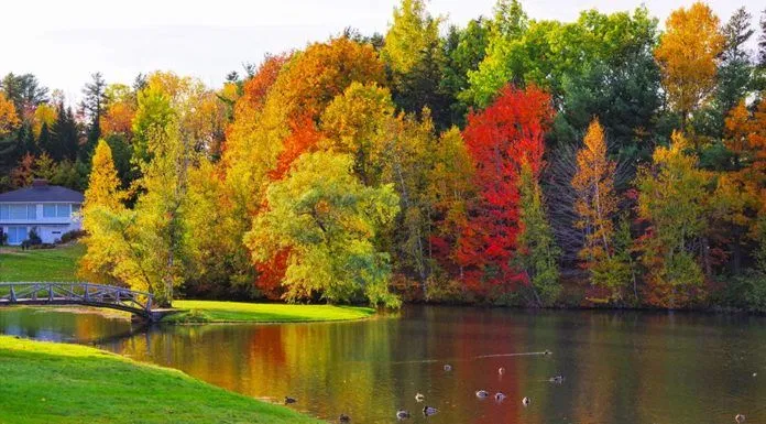canada