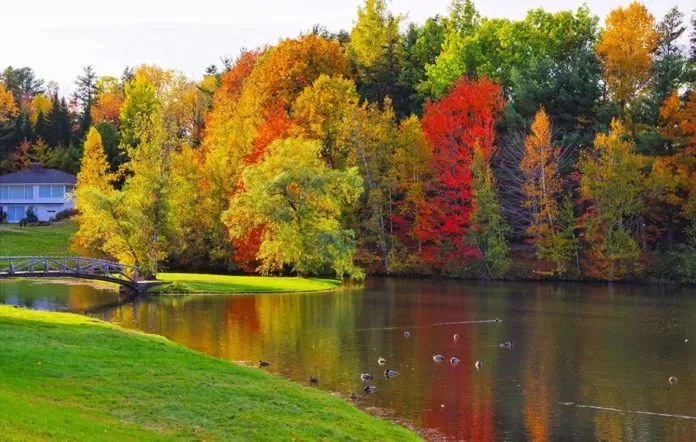 canada
