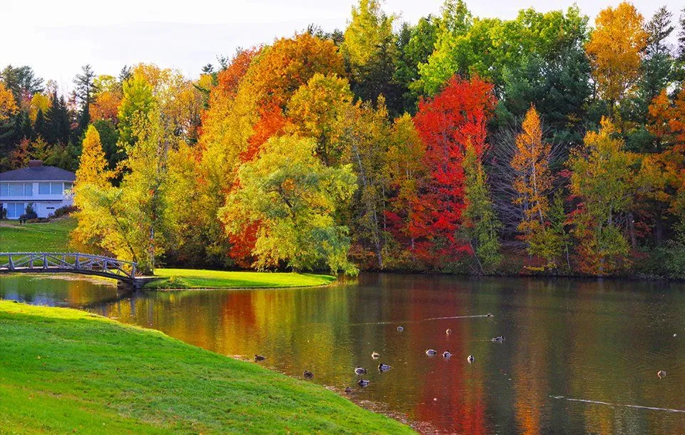 canada