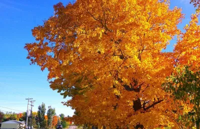 canada