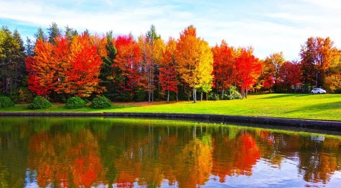 canada