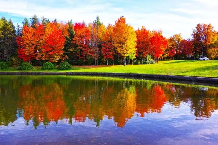 canada