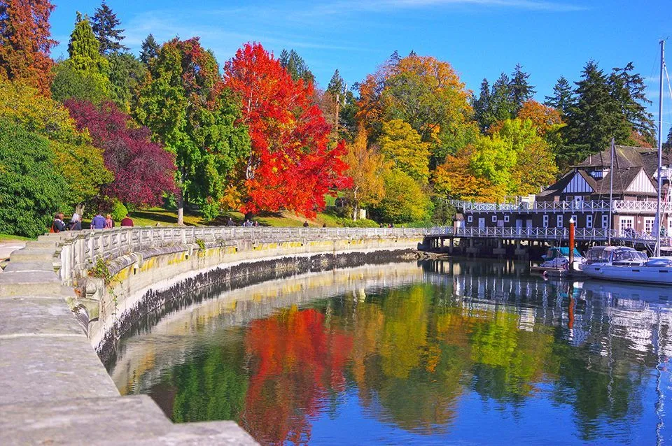 Stanley Park 