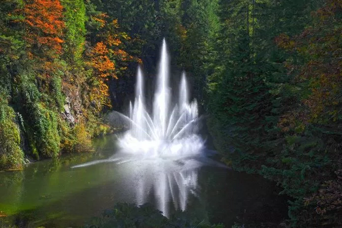 Tại Công viên The Butchart Gardens Victoria Canada.