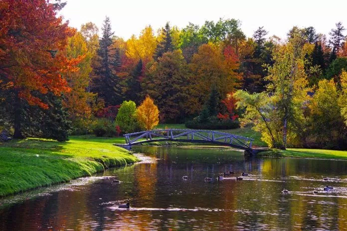canada