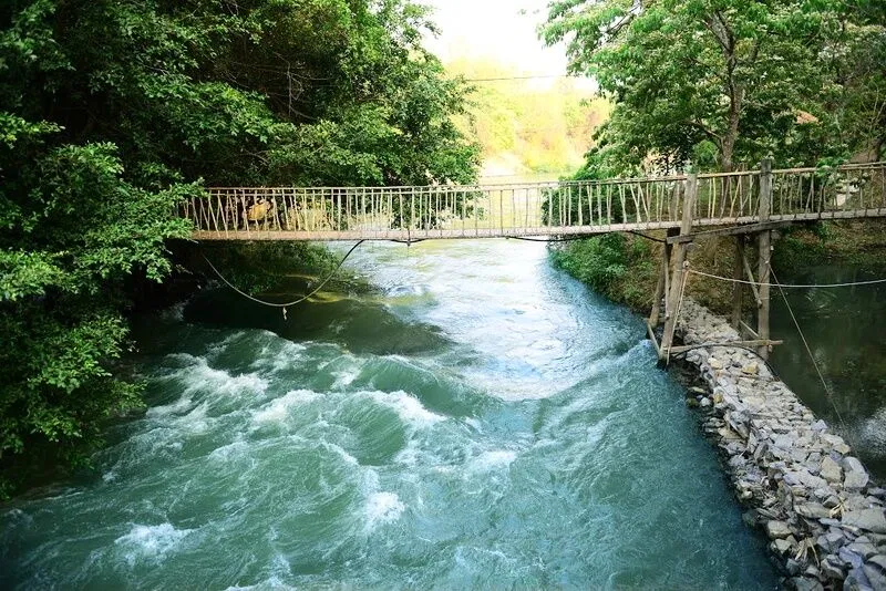 Cầu dây bắc qua sông