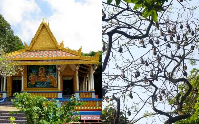 Chùa Dơi