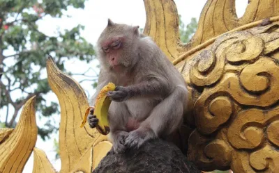 Chùa Khỉ