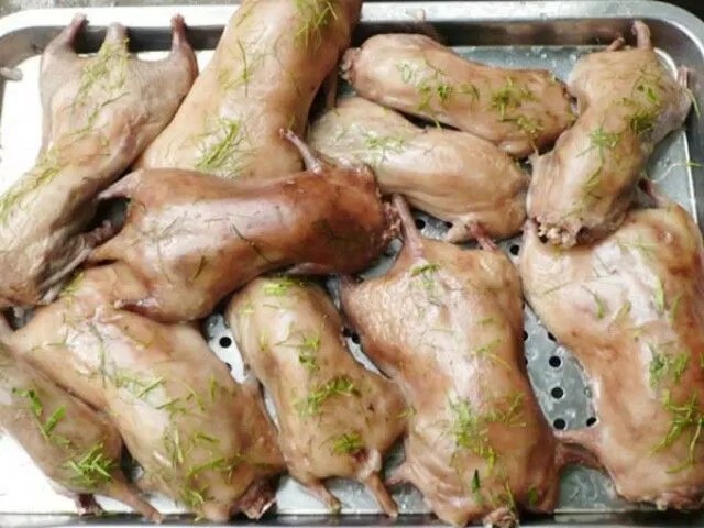Chuột dừa