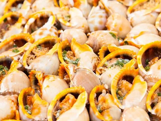 ốc cô Tuyết