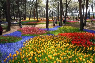 Vườn hoa ở Hitachi
